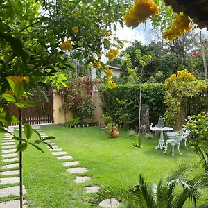 Casa Tortuga Porto Seguro